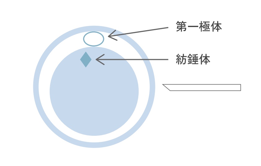 Polscope法